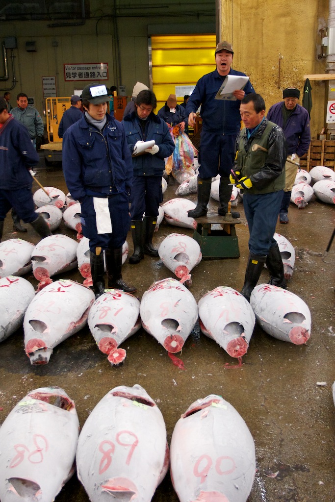 Tsukiji Fish Market Auction