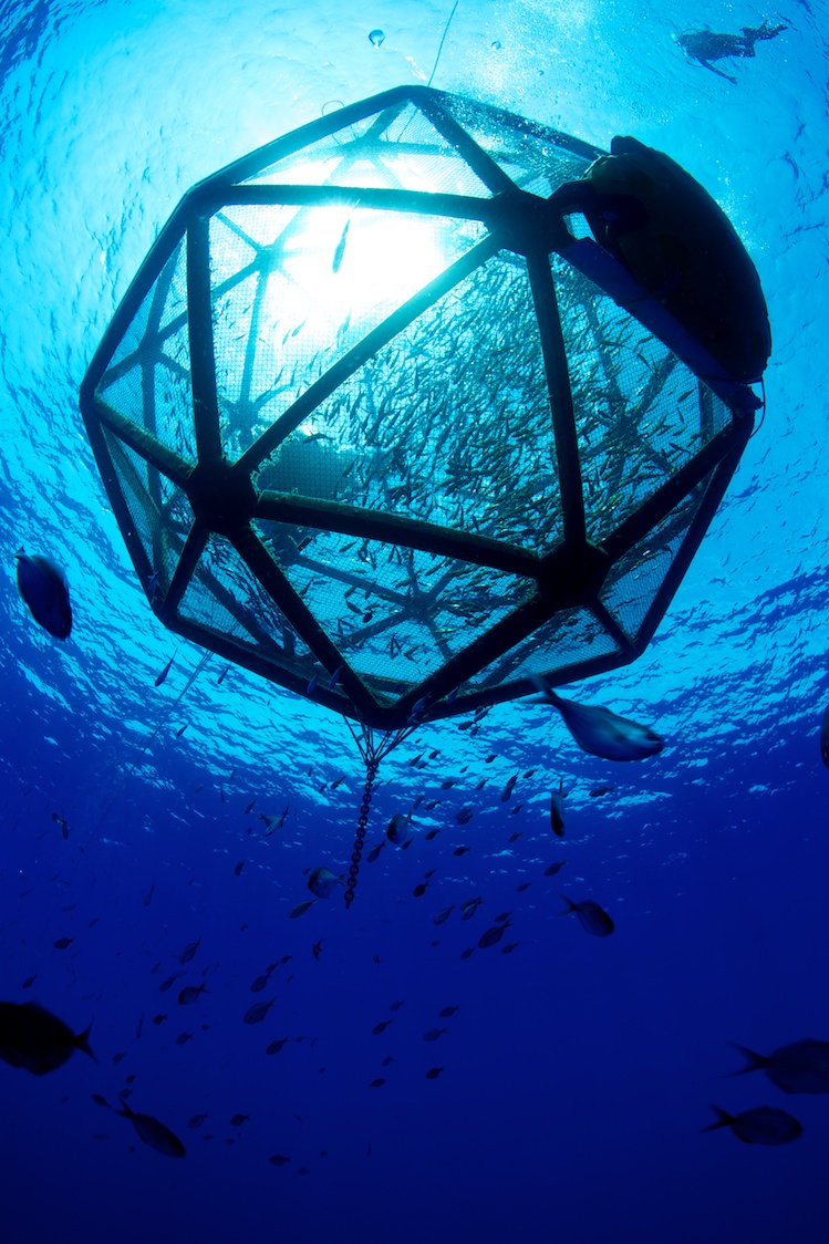 Underwater Aquapod in Hawaii, Floating Fish Farm