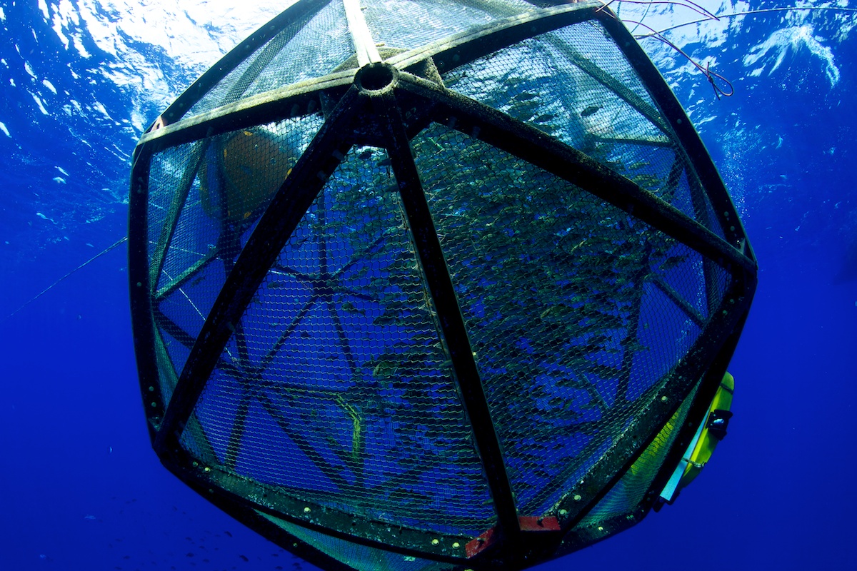 Underwater Aquapod in Hawaii, Floating Fish Farm 