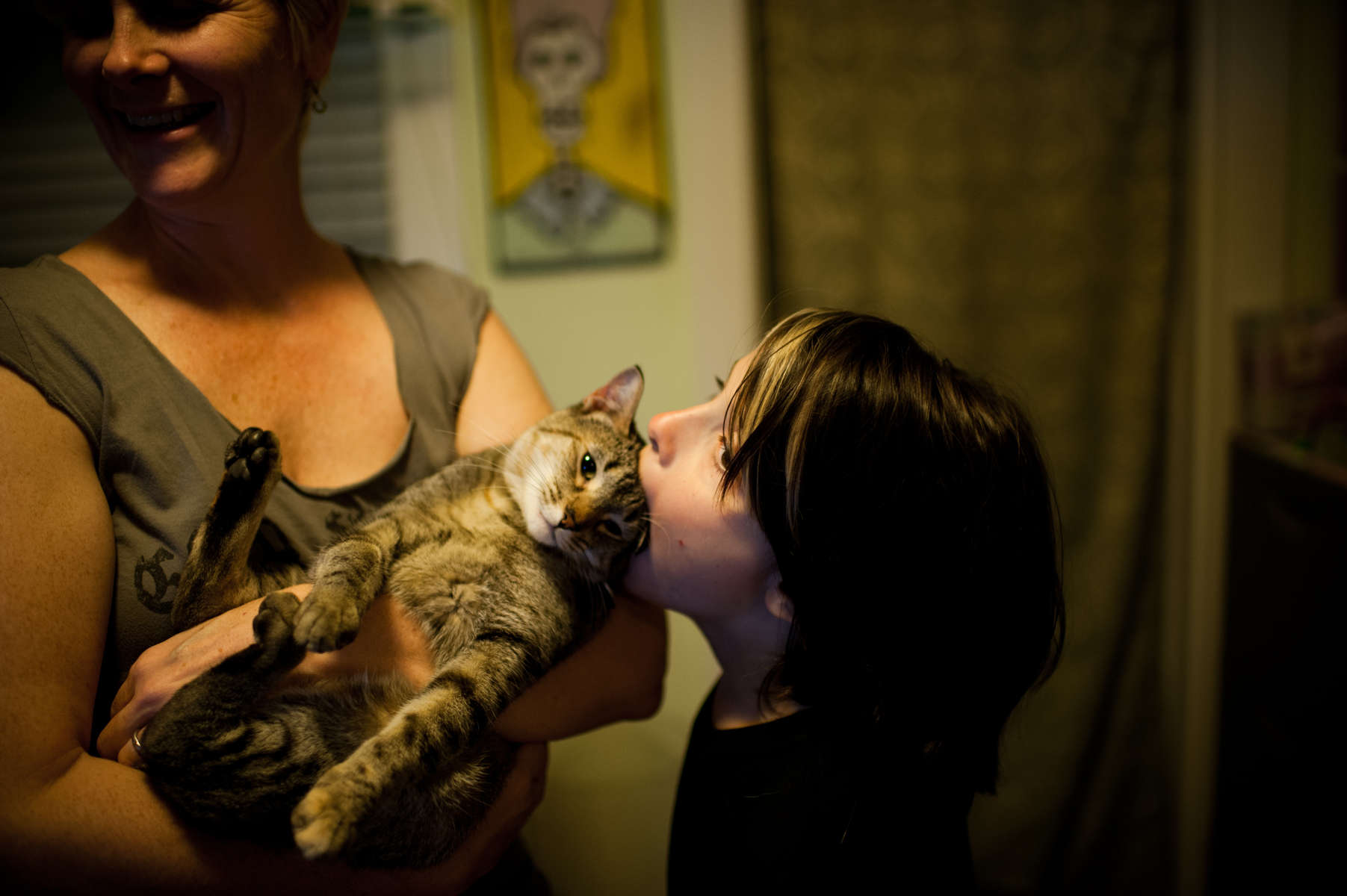 Barbara Dolan holds the family cat, Francey Pants, while her 10-year-old son Drew Neiburger attempts to get as much of the cat's head into his mouth Saturday Jun. 29, 2013, in Oak Park, Ill. Rob Hart/RobHartPhoto.com