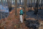 Forest technician Nelson Jarvis of the Department of Forestry monitors a fire burning in the woods Thursday evening. 