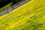 A bicyclist rides along a path among blooming flowers at Riverview Farm Park in Newport News Wednesday afternoon May 27, 2020. 
