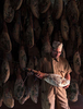 Jabu Jabugo · Iberian Ham Curing
