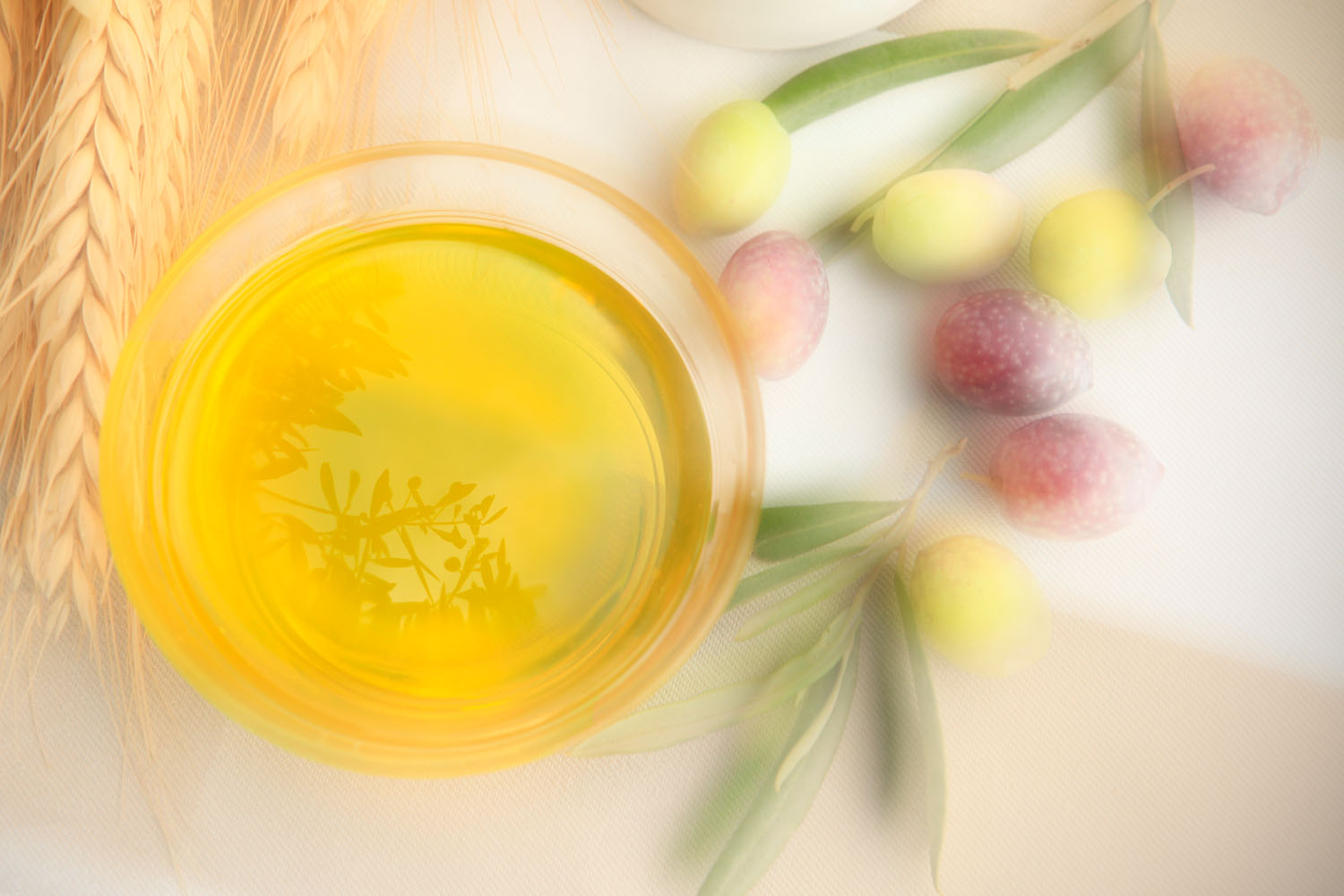 Belvis de las Navas · Organic Olive Oil