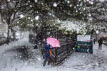 Brooklyn, NY - March 21, 2018: The first snowfall of spring began early in the morning commute in Brooklyn, NY. Heavy snowfall is expected throughout the day.  CREDIT: Kevin Hagen for The New York Times