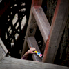 A child climbs the ladder of the treehouse while attending a birthday party at el Jardin del Paraiso in the East Village. 