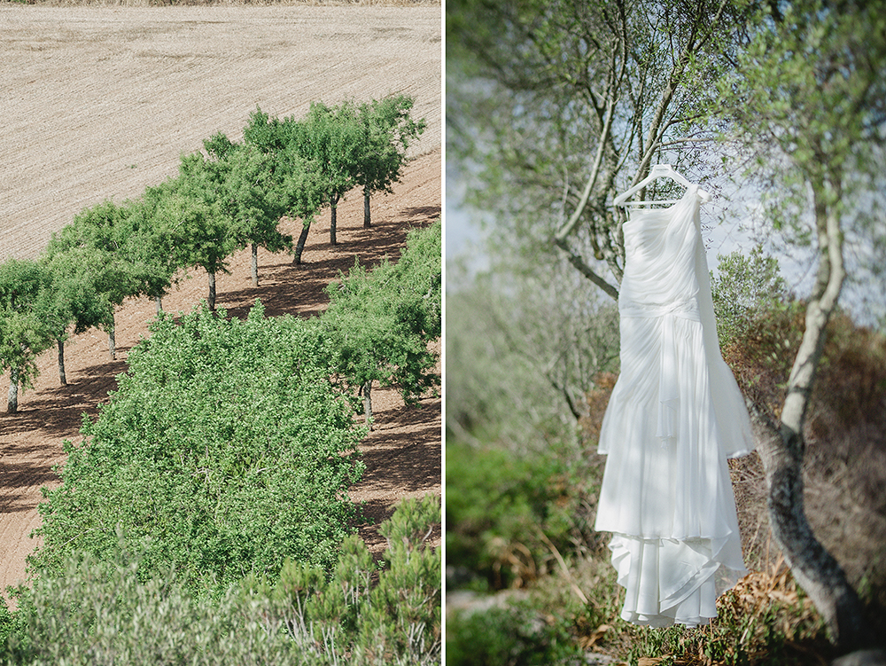 olive-tree-wedding-dress-ANYALBUFAR--MALLORCA_destination-wedding-photographer-adrian-hancu