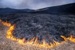 Photograph entitled Burning the Konza Prairie