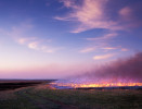 Photograph entitled Prairie burn at dusk 