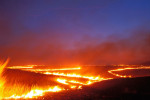 Photograph entitled Lines of burning tallgrass, Kansas Flint Hills