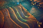 Crop rows in plowPhotograph entitled Crop rows in plowed Flint Hills area ed Flint Hills area