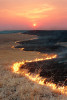 Photograph entitled Spring range burn in the Flint Hills