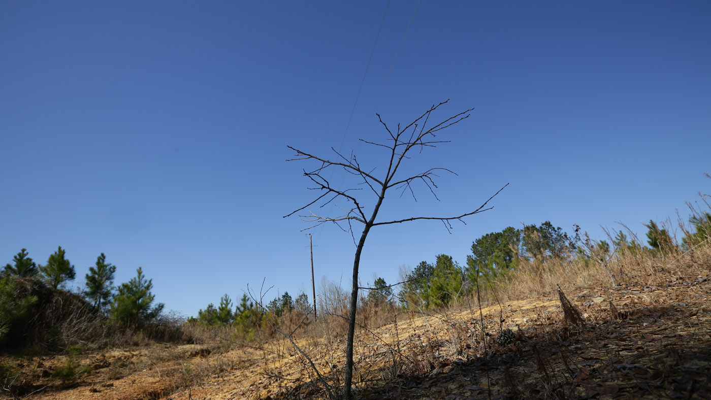 Floyd, Alabama -  02-17-2016 - This is the site of a lynching. This was for a project undertaken by The Equal Justice Initiative.  - Photo By Ozier Muhammad