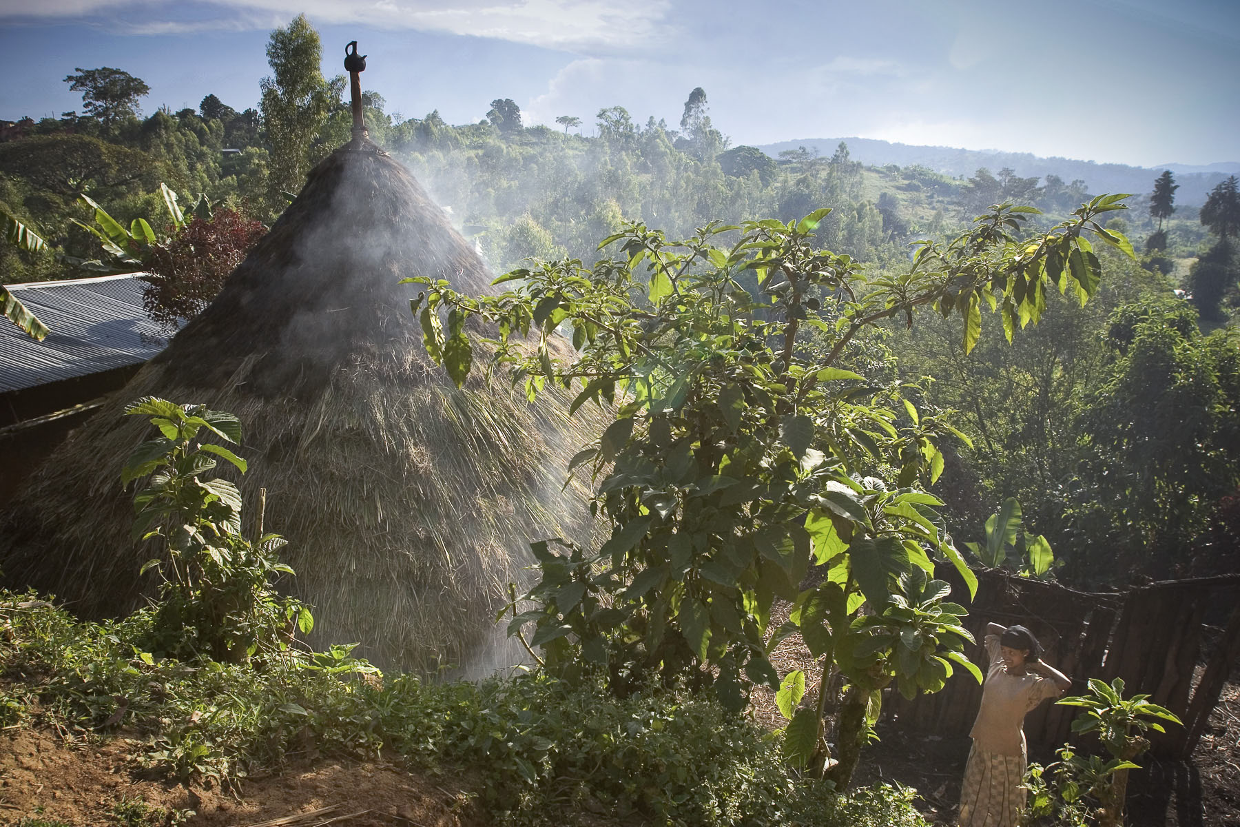 Bonga, the homeland of coffee. A small wild coffee producer’s farm in November 2004
