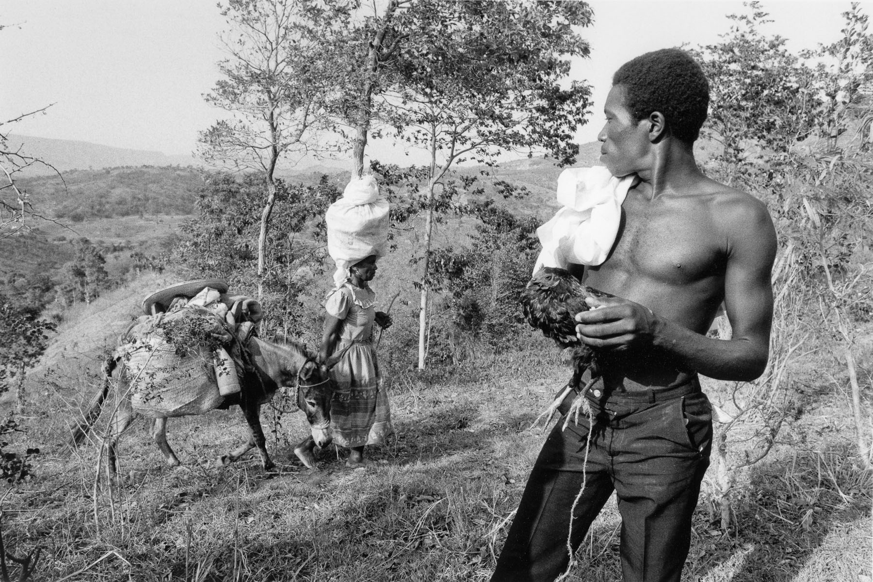 Man carrying a fighting rooster by Jean-Rabel in August 1986