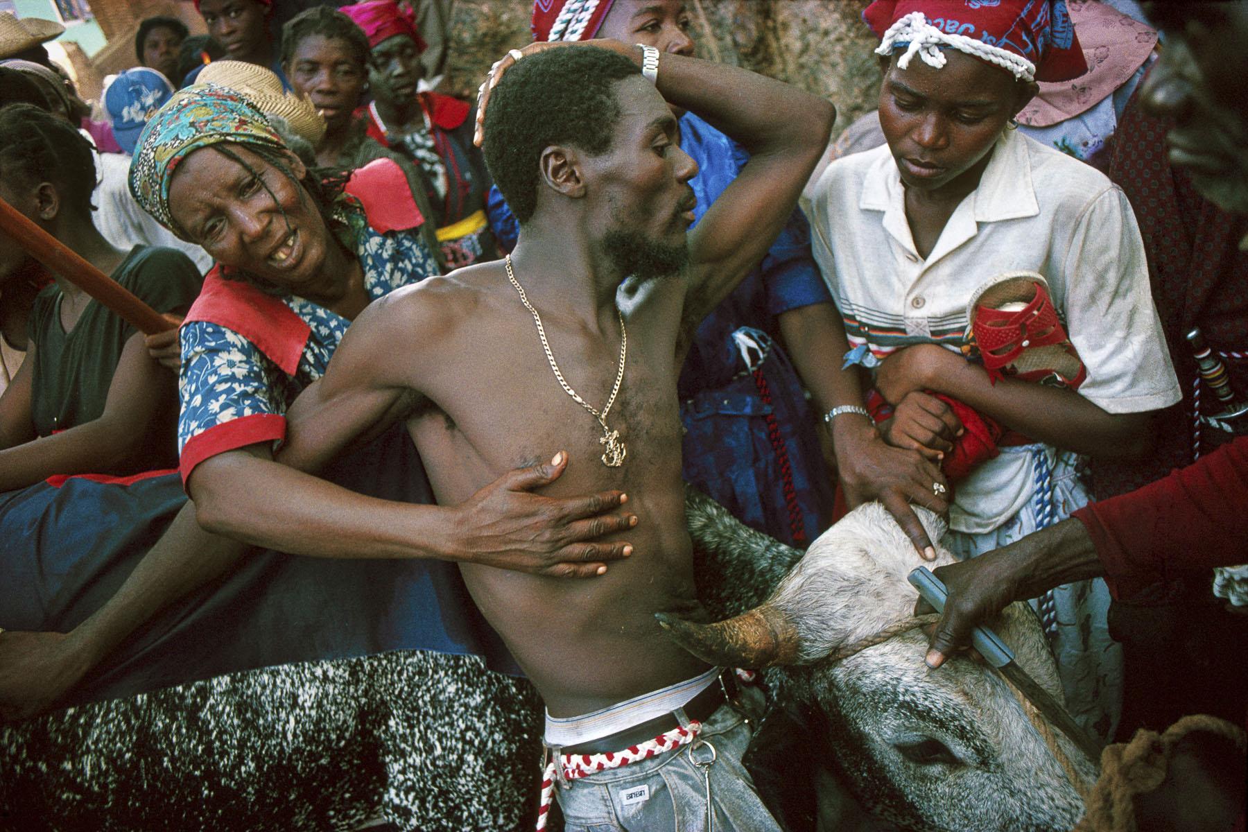 A community of farmers from the Artibonite preparing to sacrifice a bull to the loa (spirit) Ogou Feray during the annual pilgrimage in July 1995