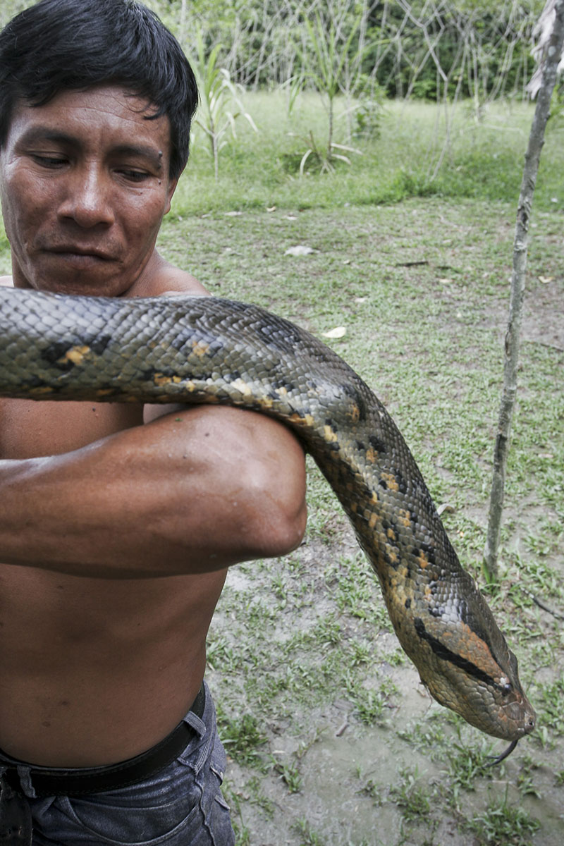 A man holding an anaconda in the zoo on April 2005
