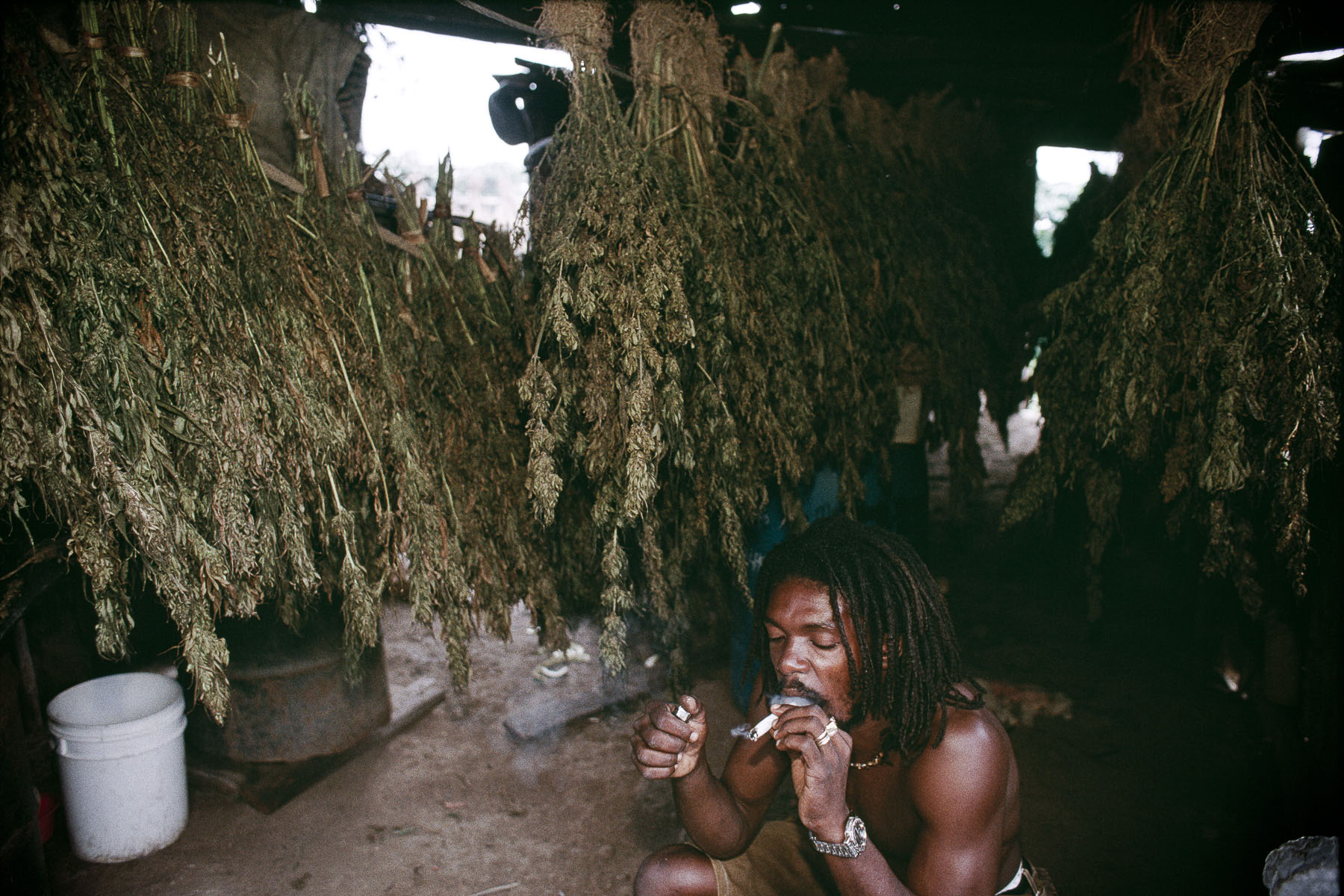Djameelah, Rasta smoking in a marijuana warehouse in January 2001