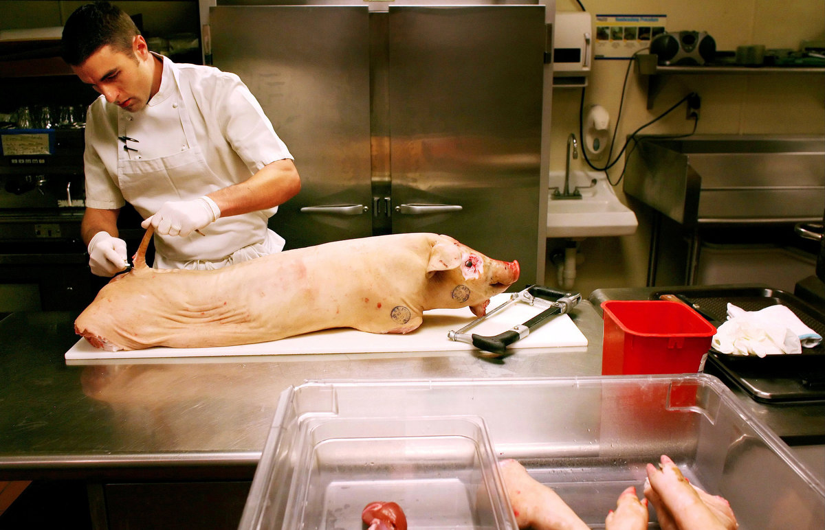 Josh Galliano, head chef at An American Place in St. Louis, removed the tail from a pig before de-boning and roasting it for the restaurant's special of the night. {quote}I prefer to work with the whole hog when I can,{quote} he said. {quote}Nothing goes to waste.{quote} 
