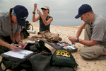 MaryAnn Duda, a veterinary technician for the Brookfield Zoo, left, Dr. Jenny Meegan, a veterinarian at the National Marine Mammal Foundation, in San Diego, center, and Dr. Michael Adkesson, vice president of clinical medicine at the Brookfield Zoo, right, drew up medications to tranquilize South American sea lions so the team could collect body samples and measurements to assess the animals' health.