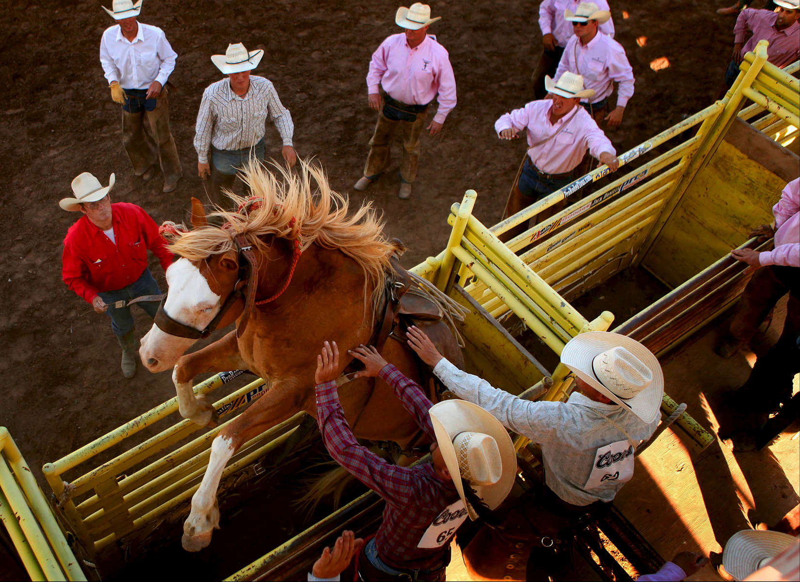 Cowboys watched helplessly as a bucking horse reared up in the chute during the Ride for the Brand Championship Ranch Rodeo at the Norris-Penrose Stadium in Colorado Springs, Colo.