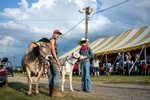 Gary Steck (left) and Addison Harshman wait to compete with their cows in the Youth Animal Dress Up Contest at the Franklin County Fair, held at the Chambersburg Rod and Gun Club in Chambersburg, Pennsylvania on July 14, 2021. Participants could come with either a goat or cow in costume and compete for an array of prizes. Steck dressed his cow Wildflower as a wig saleswoman and Harshman was dressed as the Lone Ranger.