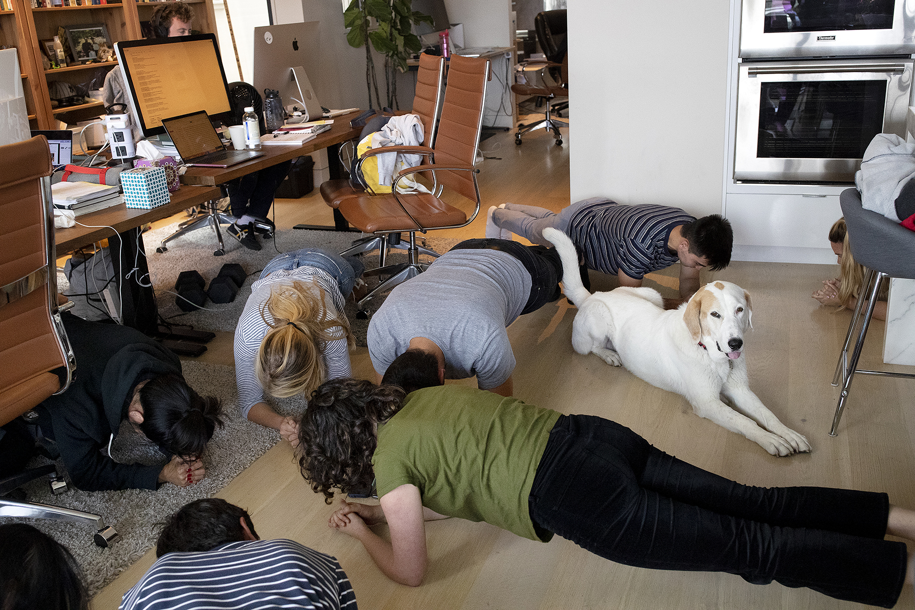 Employees of Wefunder gather for an afternoon planking break and are joined by Bucket, a team member’s dog, at the company’s San Francisco office, a house that is home to the CEO and some employees in San Francisco, Calif., on August 13, 2018. The start-up successfully lobbied Congress to legalize equity crowdfunding, allowing privately held companies to raise investment from everyday people, so-called unaccredited investors.