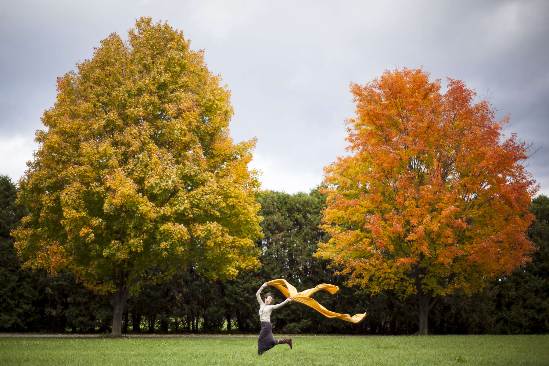 Woman runs with yellow fabric in the fall in Shelburne between two maple trees. by Vermont photographer Judd Lamphere