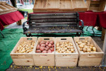 Crates of potatoes await buyers at the Burlington Farmer's Market, Burlington, Vermont.