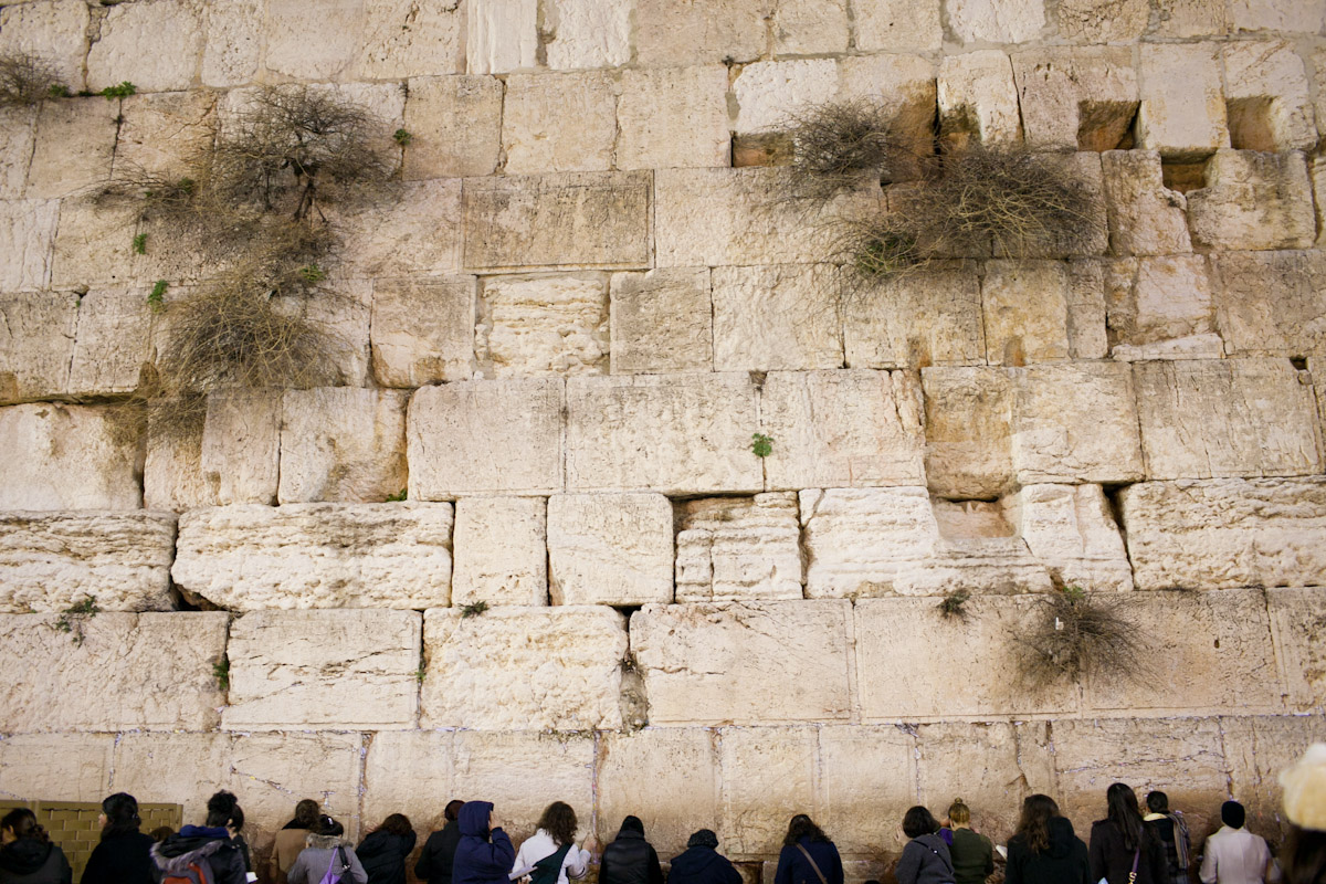 Women line up against the Western Wall in the Old City of Jerusalem, Israel.