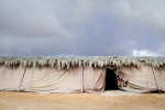 Bedouin Tent in the Negev Desert, Israel