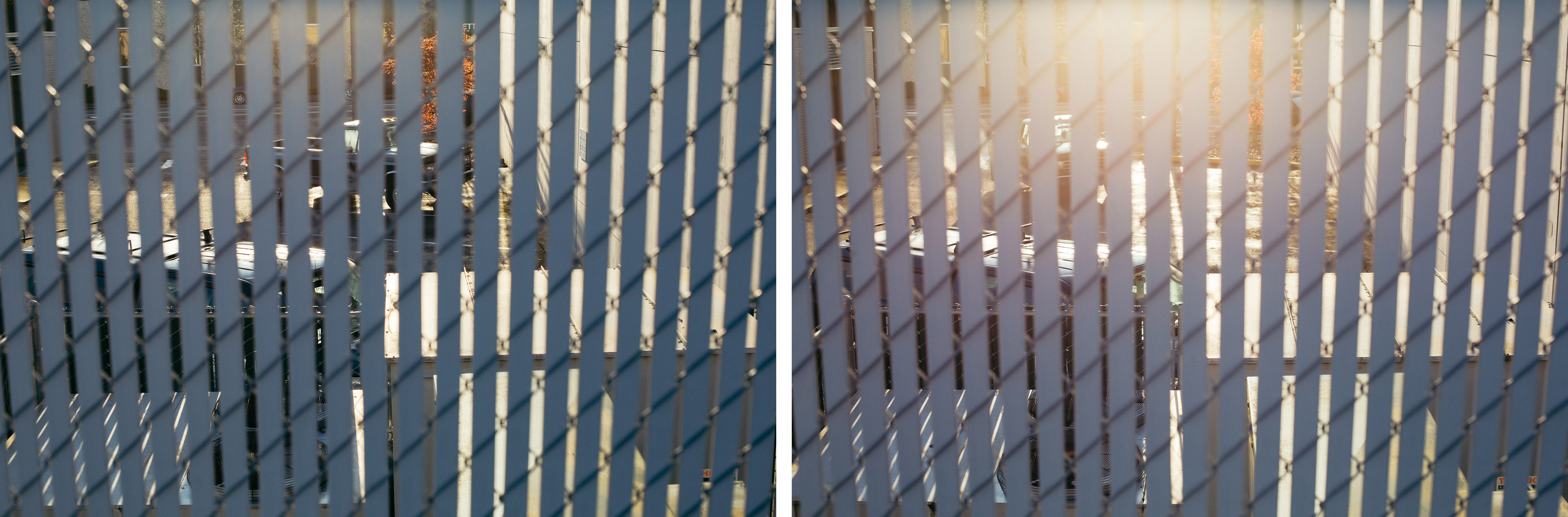 coldcase-fence-pano