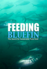 Feeding-Bluefin-Poster-copy