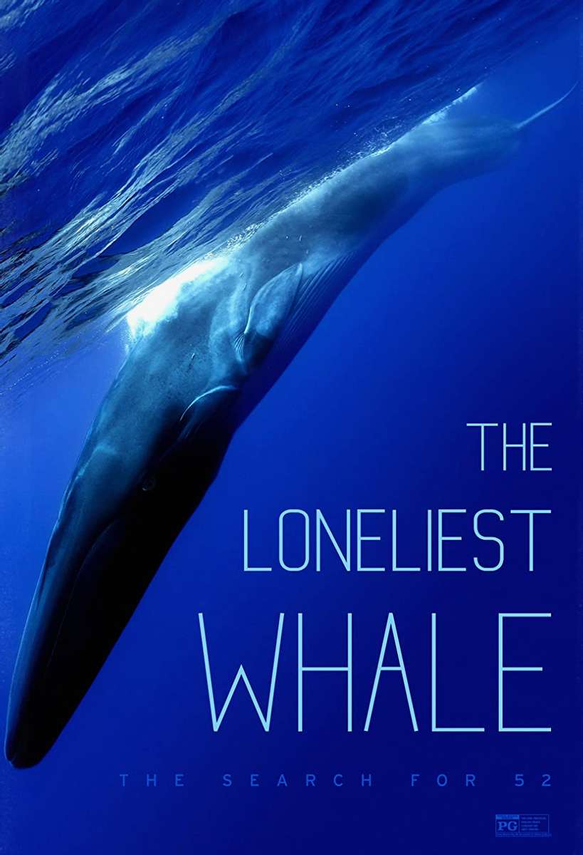 Bryce Groark The Lonliest Whale