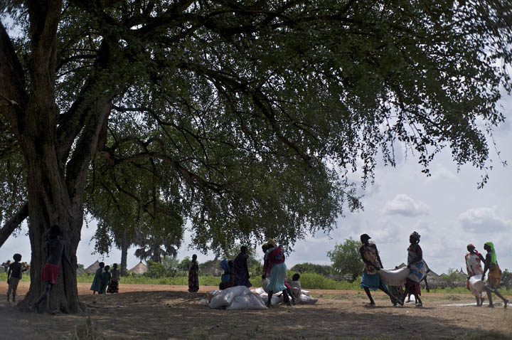 South Sudanese, who have been living as internally displaced peoples (IDPs), gather under a large tree to distribute their monthly food rations. Thousands of South Sudanese became IDPs in the states of Jonglei and Juba, following the outbreak of fighting between forces loyal to South Sudan president Salvar Kiir and his ex-vice president Rick Machar in December 2013.
