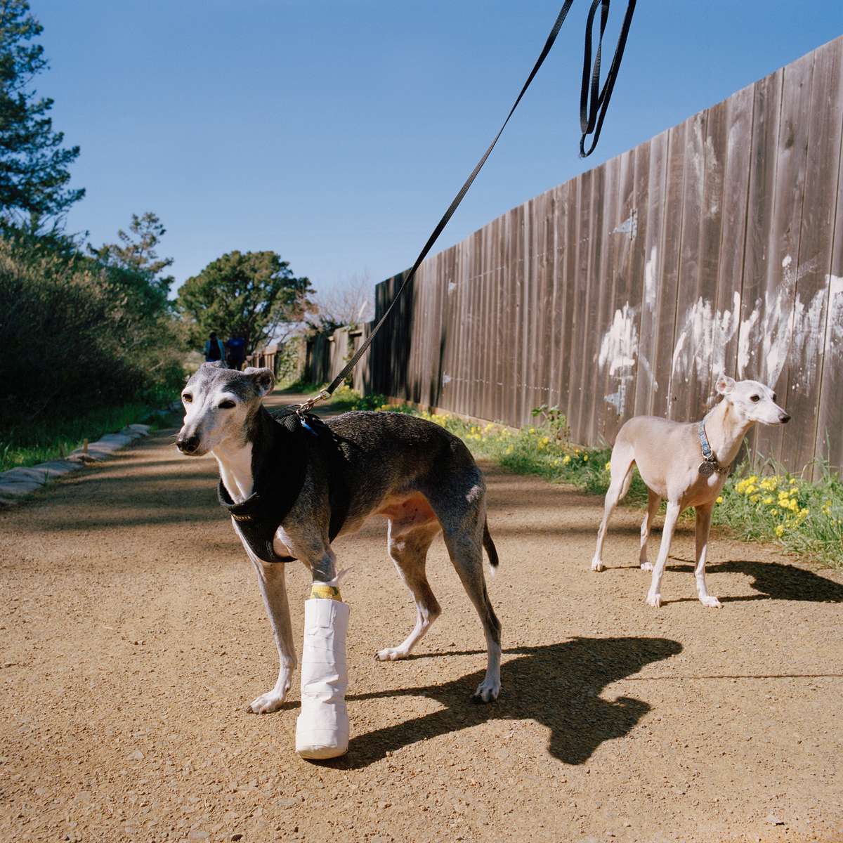 Images from the series 'Pacifica,' a personal exploration of a small town south of San Francisco. 