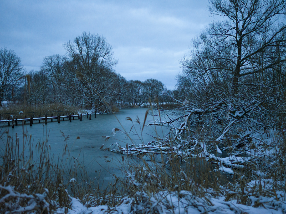 Tributary of the Spree near Tauche, frozen.