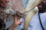 Lisa Yazzie, left, and Yorel Wilson, right, and their snakes on Fulton Street. South Street Seaport 