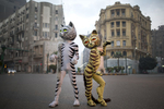 ZooZoo Broadway show photoshoot in Cairo, 2019