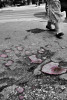 Gaping potholes had, at one time years ago, been filled with red wax by a relief organization and subsequently called Sarajevo's Roses.