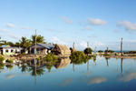 Tebikenirkoora Village, Tarawa is an area that has been particularly affected by the rising sea level, with mature palms dying from Salt poisoning and people being forces to relocate their homes or swim home at high tide.