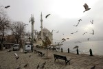 Istanbul \ Turkey