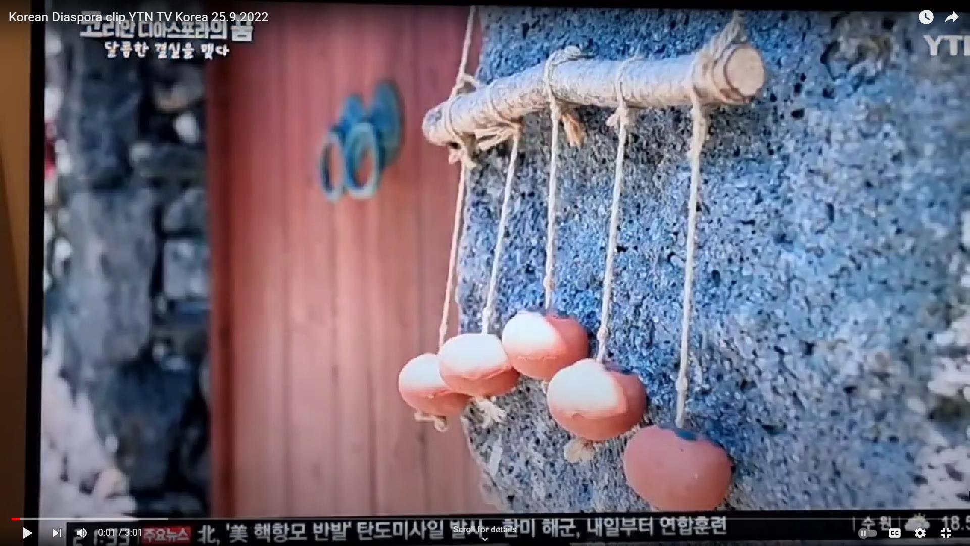vid_KoreanDiasporaClip_YTN-TV_Korea_25-9-2022