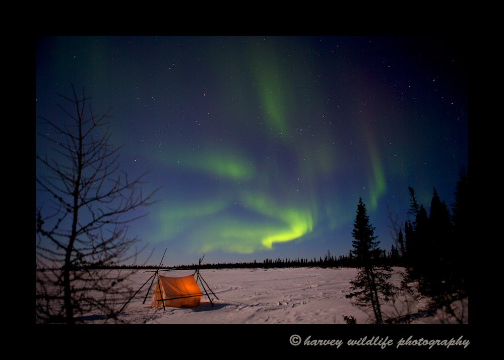 Northern lights and tent