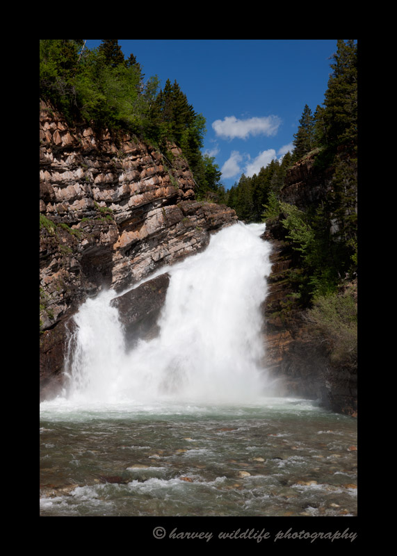 This is the famous Cameron Falls. These falls are located right in the town of Waterton, Alberta.