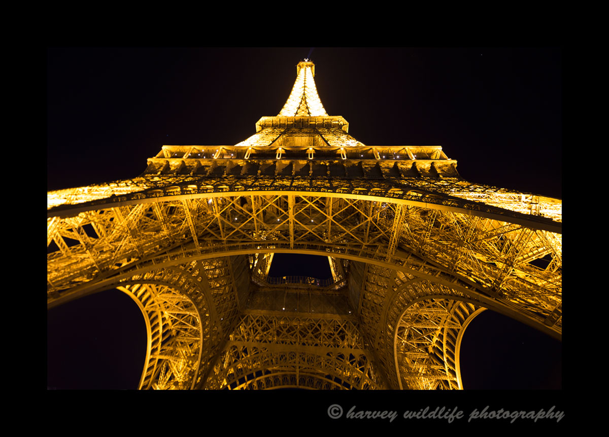 A night scene of the Eiffel Tower in Paris.