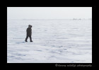 One of the photographers goes for a short walk on the tundra as we wait for hours at a polar bear den waiting for a glimpse of a polar bear and or cubs.