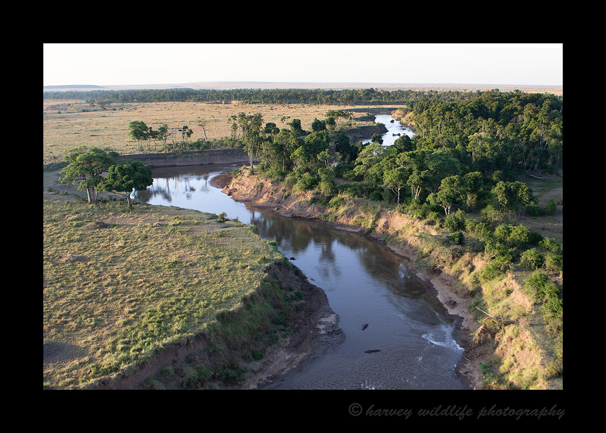 Mara River from a Hot Air Balloon
