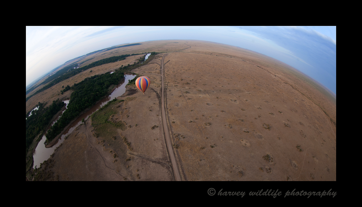Hot Air Balloon III