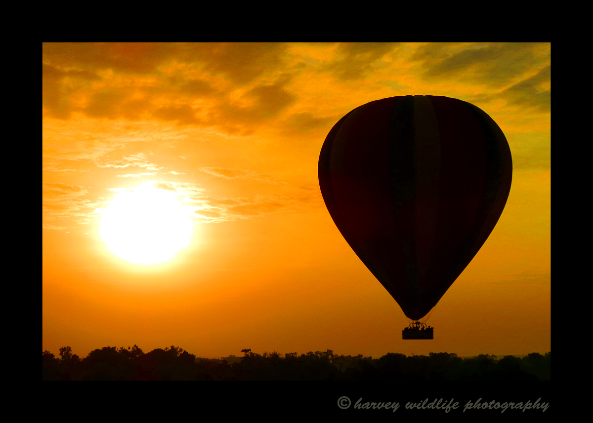 Gaye took this image of the sunrise as we were in another hot air balloon.